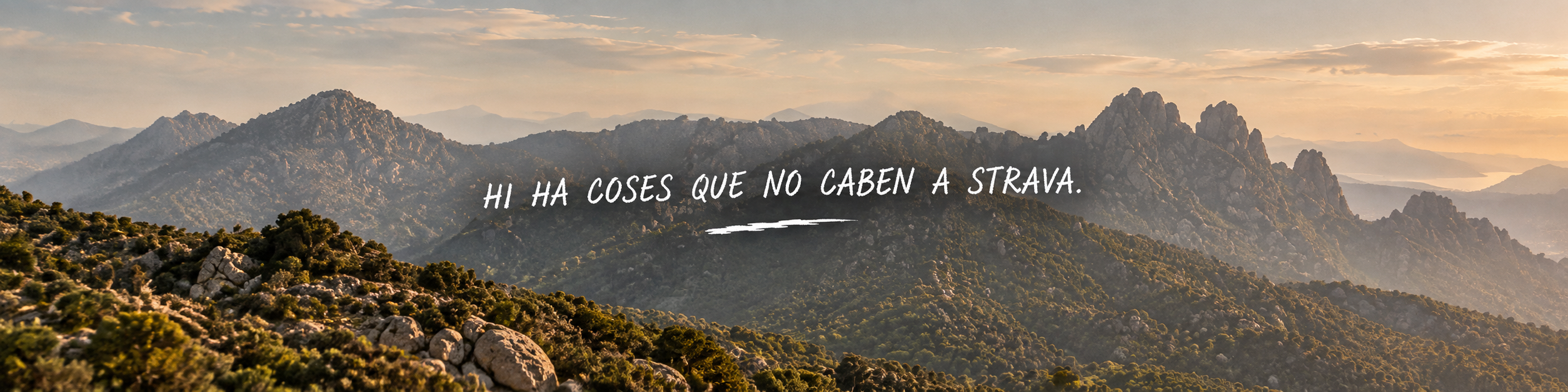 banner 2